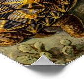 Poster Illustration vintage des tortues (Coin)