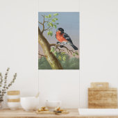 Poster Illustration vintage d'oiseaux (Cuisine)