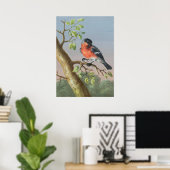 Poster Illustration vintage d'oiseaux (Bureau à domicile)