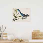 Poster Illustration vintage d'oiseaux (Cuisine)