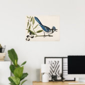 Poster Illustration vintage d'oiseaux (Bureau à domicile)