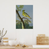 Poster Illustration vintage d'oiseaux (Cuisine)