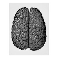 Illustration vintage du cerveau humain