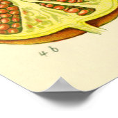 Poster Illustration Vintage du mois de la grenade (Coin)