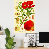 Poster Illustration Vintage du mois de la grenade (Bureau à domicile)