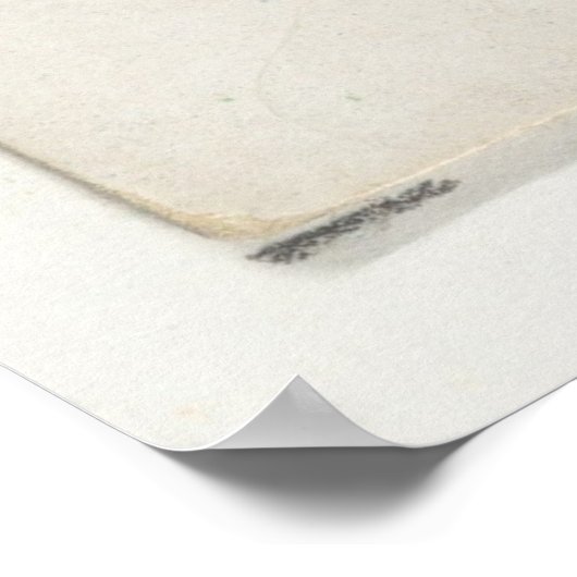 Poster Illustration vintage du poisson Pompano (Coin)