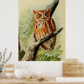 Poster Illustration vintage d'un hibou (1912) (Cuisine)