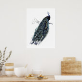 Poster Illustration vintage d'un paon sur une branche  (Cuisine)