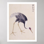 Poster Illustration vintage : Grue à cou blanc (Devant)