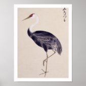 Poster Illustration vintage : Grue cendrée (Devant)