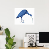 Poster Illustration vintage Ibis bleu (Bureau à domicile)
