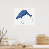 Poster Illustration vintage Ibis bleu (Cuisine)