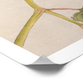 Poster illustration vintage : Kingfisher (Coin)