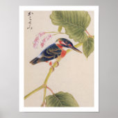 Poster illustration vintage : Kingfisher (Devant)