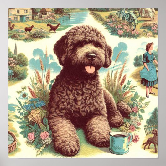 Poster Illustration vintage Lagotto Romagnolo (Devant)