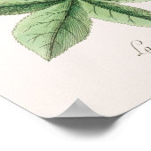 Poster Illustration vintage Lizard (Coin)