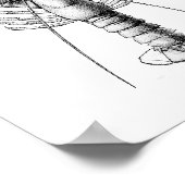 Poster Illustration vintage noire et blanche du homard (Coin)