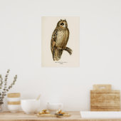 Poster Illustration vintage Owl (Cuisine)