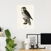 Poster Illustration vintage Owl (Bureau à domicile)