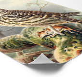 Poster Illustration vintage Owl (Coin)