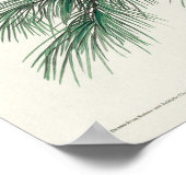 Poster Illustration vintage Owl (Coin)