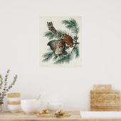 Poster Illustration vintage Owl (Cuisine)