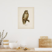 Poster Illustration vintage Owl (Cuisine)