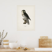 Poster Illustration vintage Owl (Cuisine)