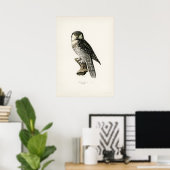 Poster Illustration vintage Owl (Bureau à domicile)