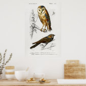 Poster Illustration vintage Owl (Cuisine)