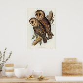 Poster Illustration vintage Owl (Cuisine)