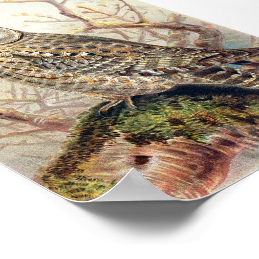 Poster Illustration vintage Owl (Coin)