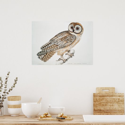 Poster Illustration vintage Owl (Cuisine)