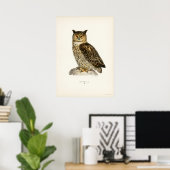 Poster Illustration vintage Owl (Bureau à domicile)