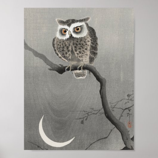 Poster Illustration vintage Owl (Devant)