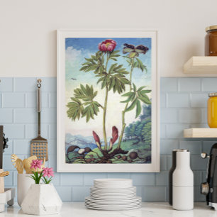 Poster Illustration vintage Pastel Watercolor Peony