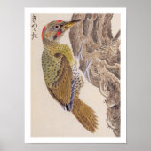 Poster Illustration vintage : Pic vert (Devant)