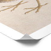 Poster Illustration vintage : Poussée (Coin)