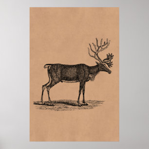 Poster Illustration vintage Reindeer - Noël des années 18