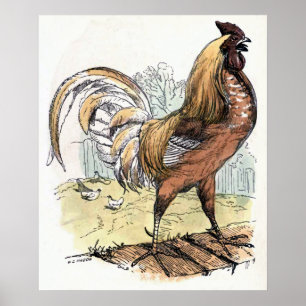 Poster Illustration Vintage "Rooster"