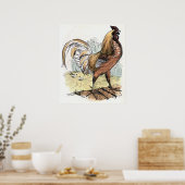 Poster Illustration Vintage "Rooster" (Cuisine)