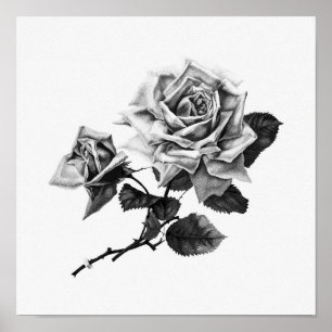 Poster Illustration Vintage Rose