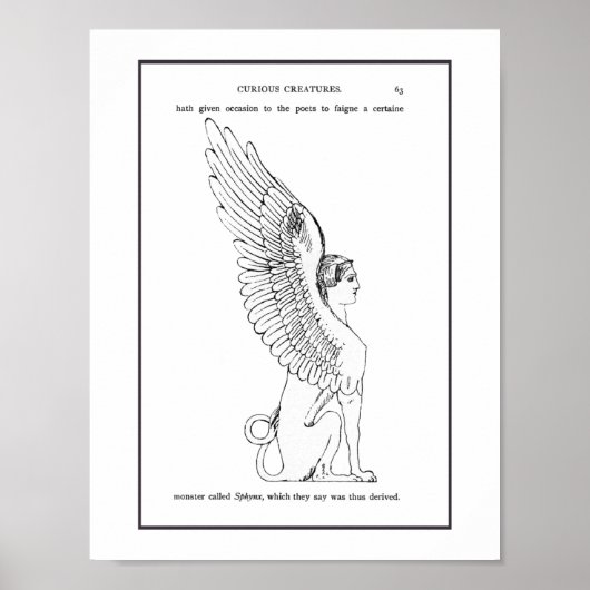 Poster Illustration vintage Sphinx (Devant)