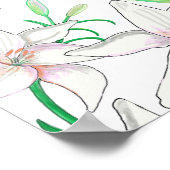 Poster Illustration White Lilies (Coin)