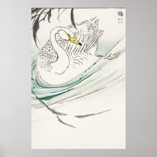 Poster Illustration Wooper Swan. (Devant)