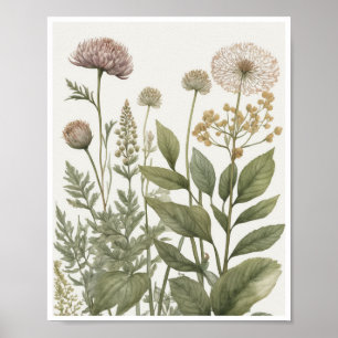 Poster illustrations botaniques texture motif complexe