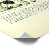 Poster Illustrations de champignons vintages par Adolphe  (Coin)