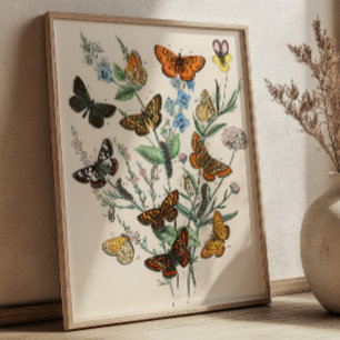 Poster Illustrations de papillons vintage Art botanique