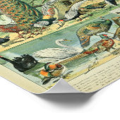 Poster Illustrations des oiseaux d'Adolphe Millot (Coin)