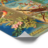 Poster Illustrations des oiseaux d'Amérique du 19e siècle (Coin)